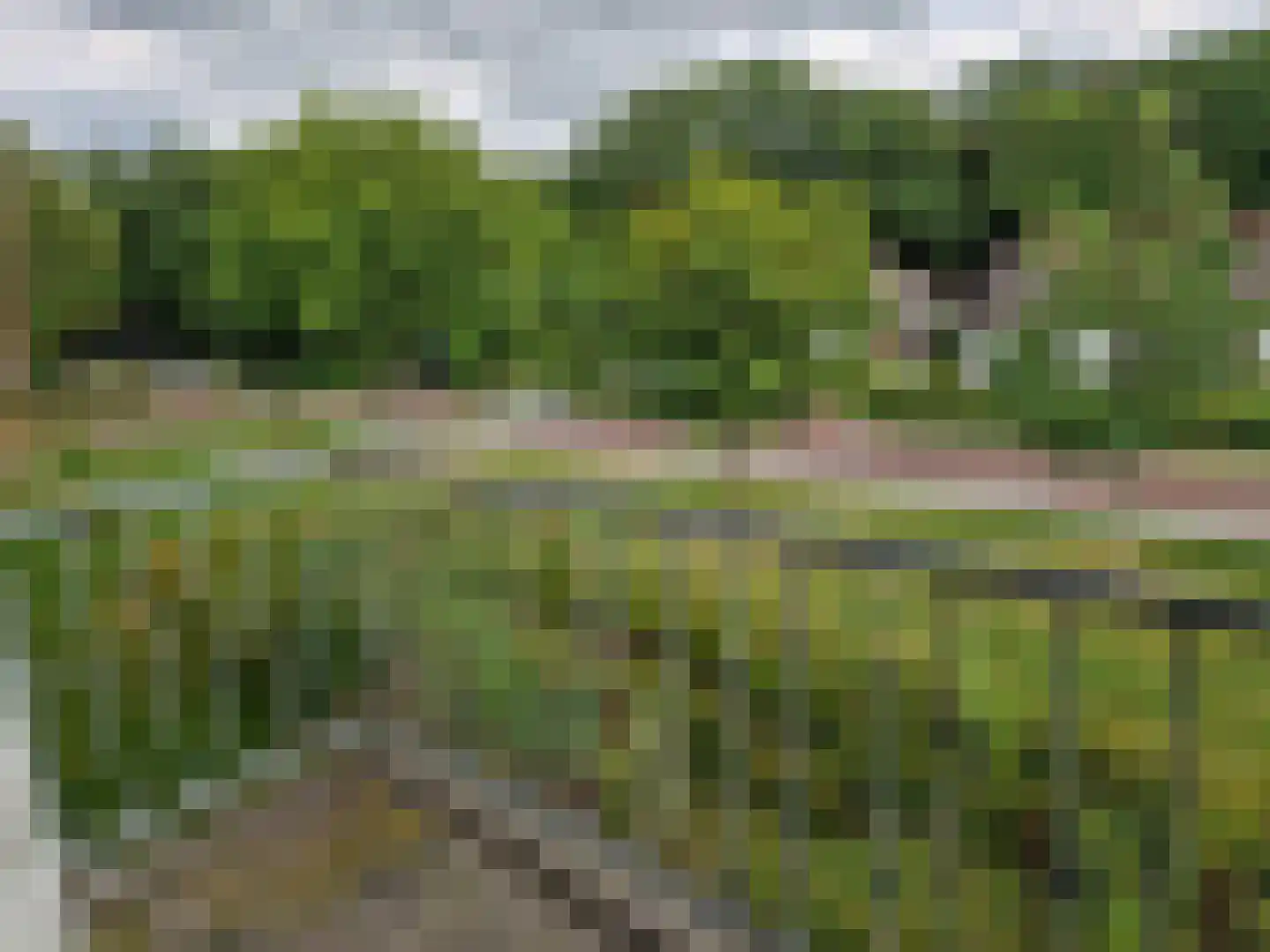 Gerard Doustraat 83 Assen thumbnail 14