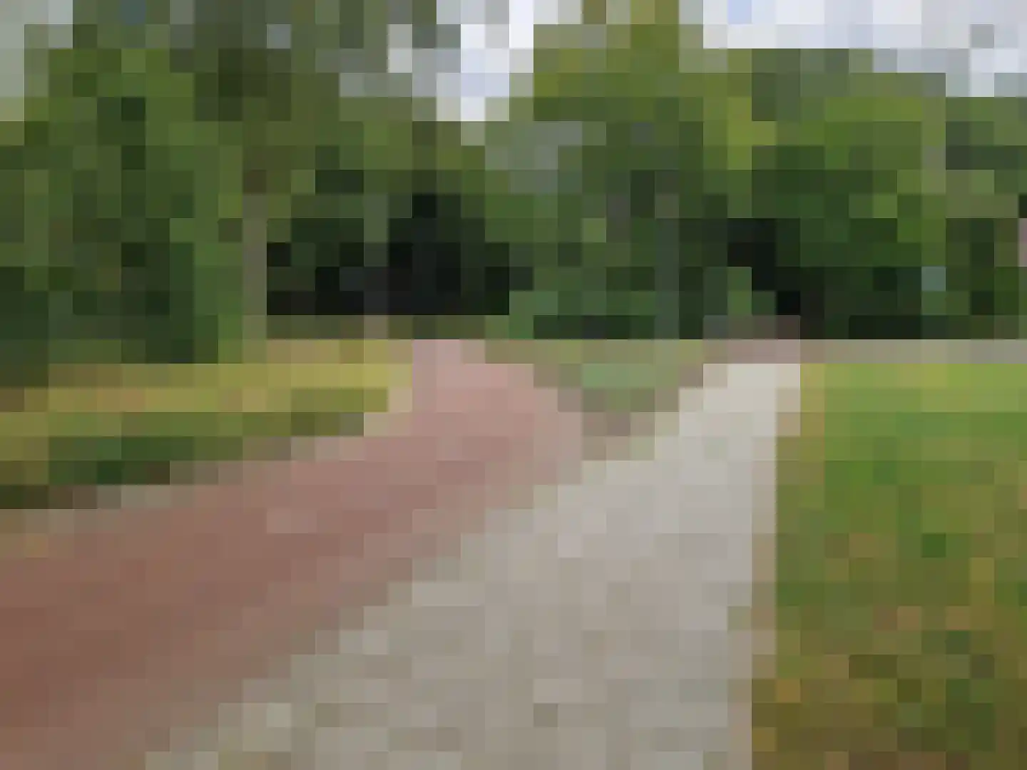 Gerard Doustraat 83 Assen thumbnail 23