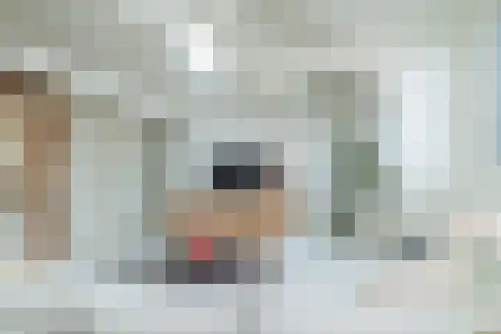 Gerard Doustraat 84 2 Amsterdam thumbnail 8