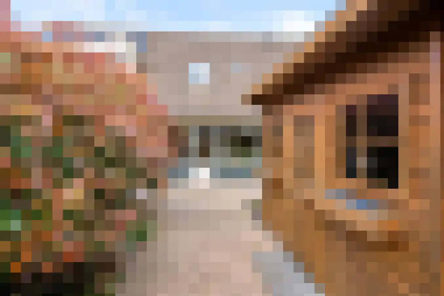Gerard Doustraat 87 Ede thumbnail 29