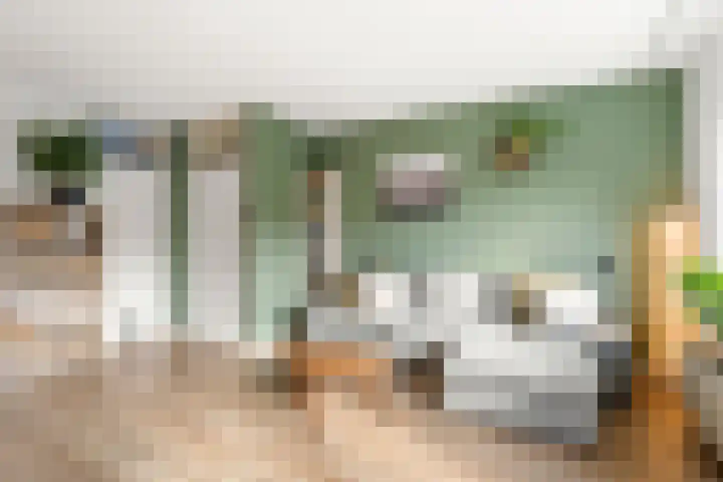 Gerard Doustraat 87 Ede thumbnail 7