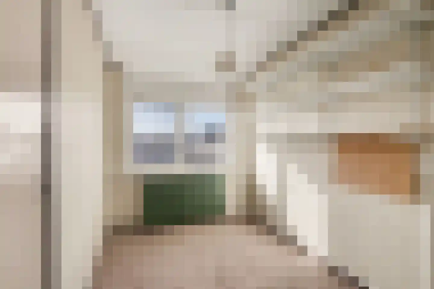Gerard Doustraat 88 Zutphen thumbnail 15