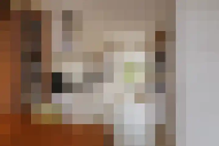 Gerard Doustraat 9 Alphen aan den Rijn thumbnail 6