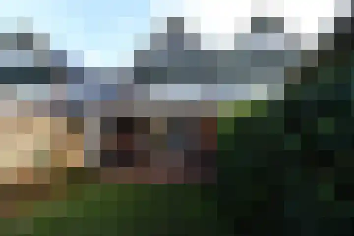 Gerard Douweg 34 Groesbeek thumbnail 5