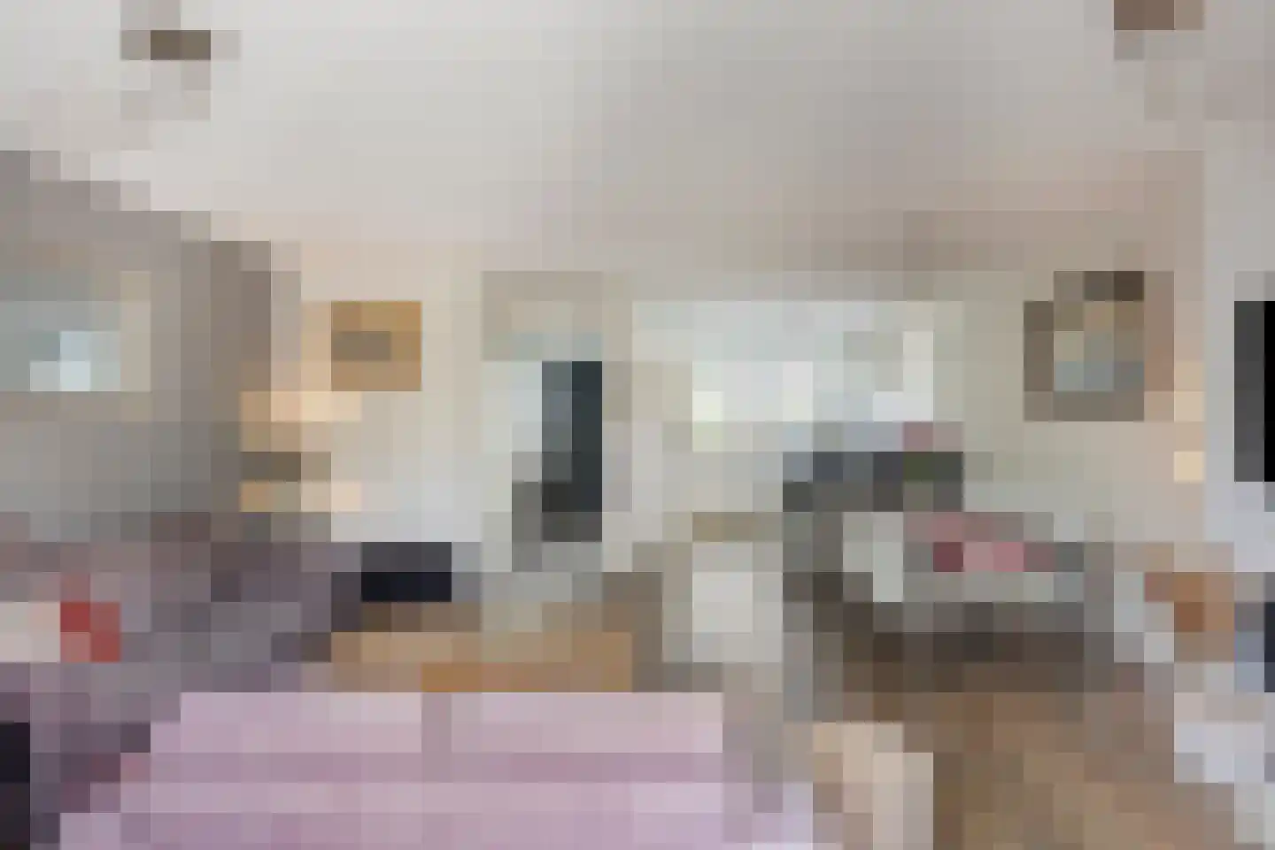 Gerard Fonkertsingel 28 Spijkenisse thumbnail 10
