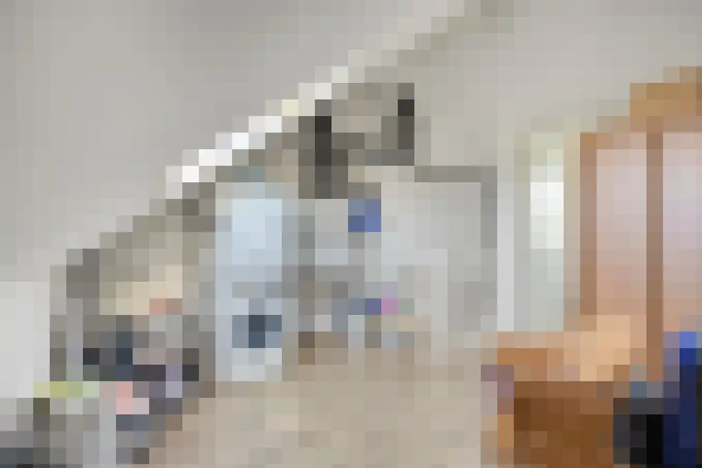 Gerard Fonkertsingel 28 Spijkenisse thumbnail 29