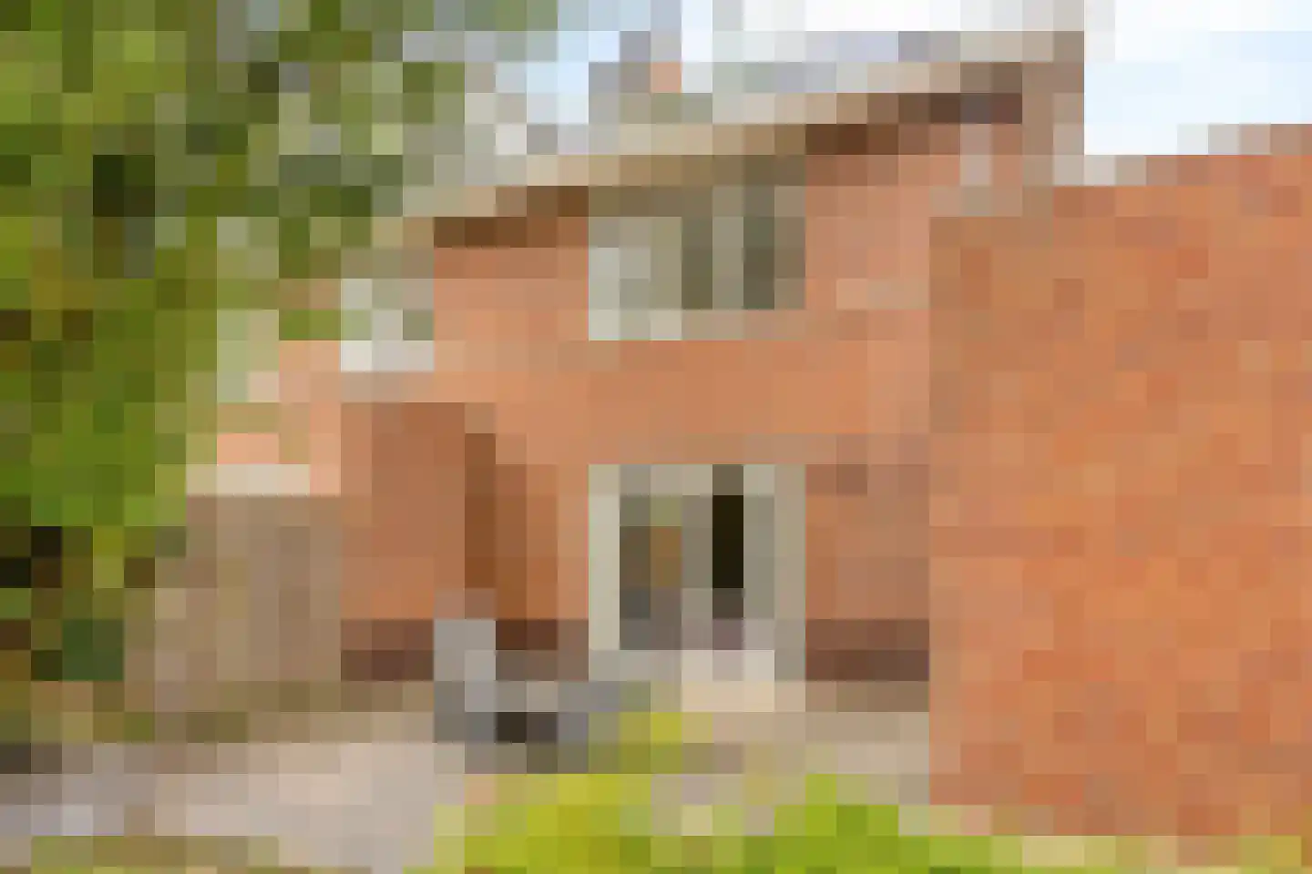 Gerard Fonkertsingel 28 Spijkenisse thumbnail 37