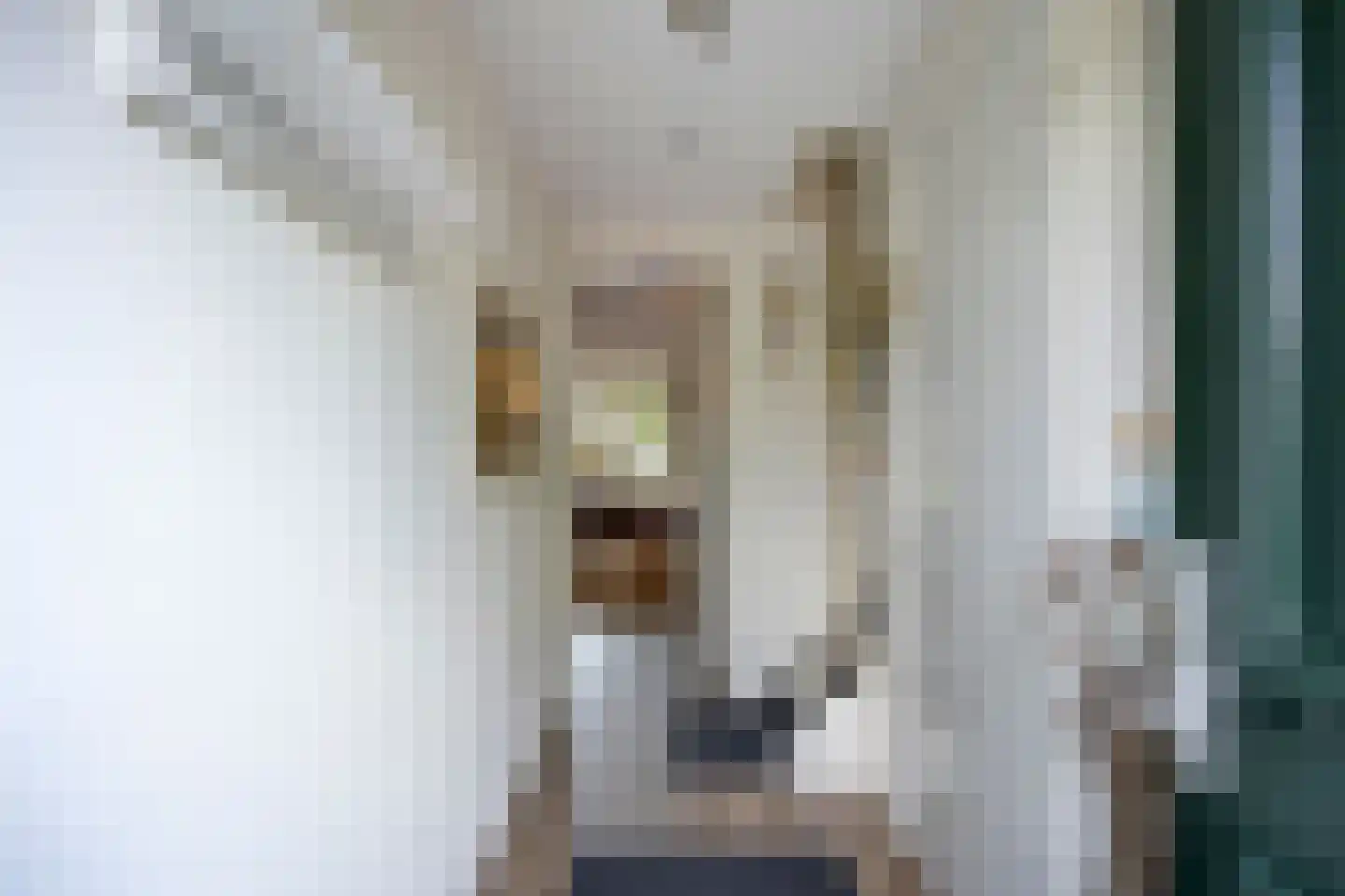 Gerard Fonkertsingel 28 Spijkenisse thumbnail 6