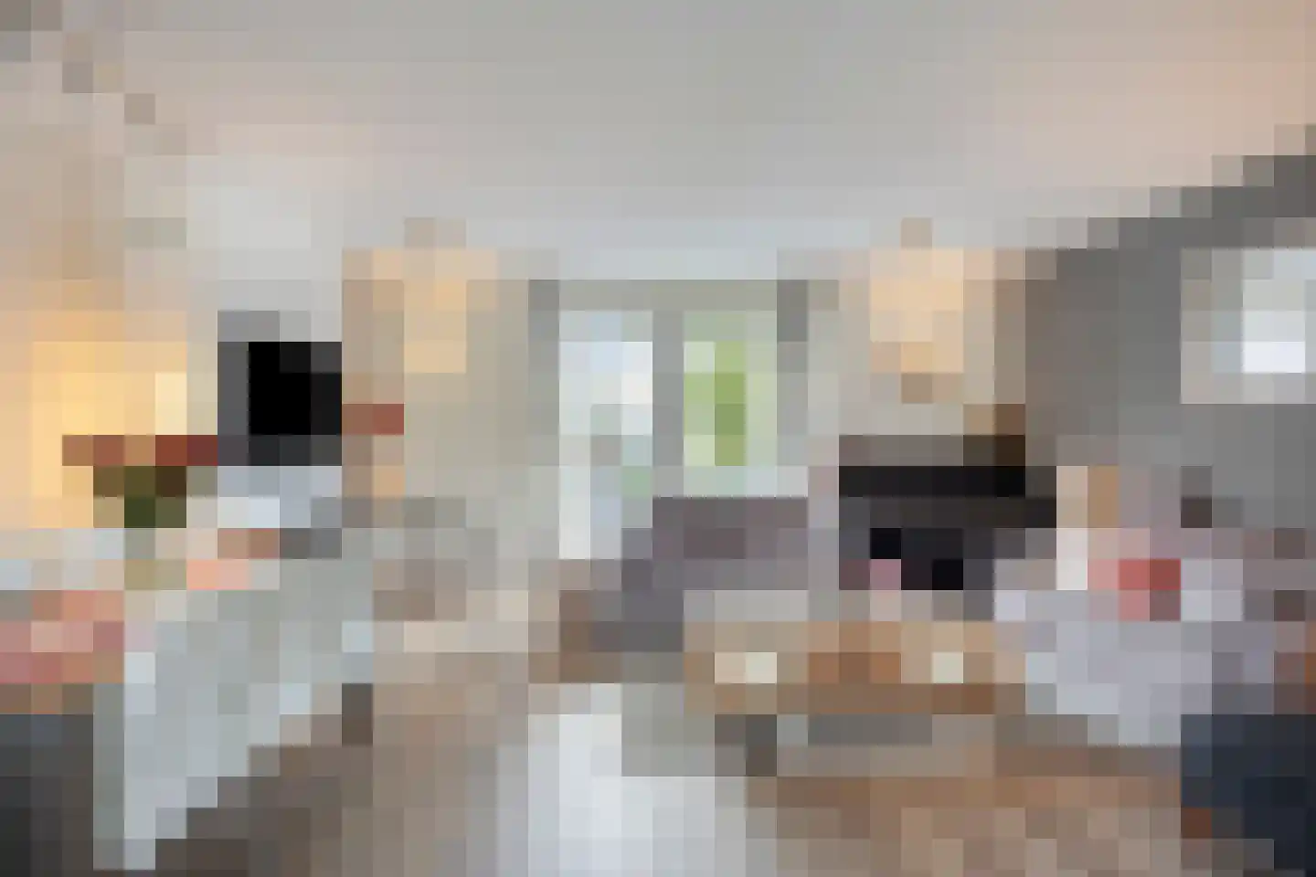 Gerard Fonkertsingel 28 Spijkenisse thumbnail 9