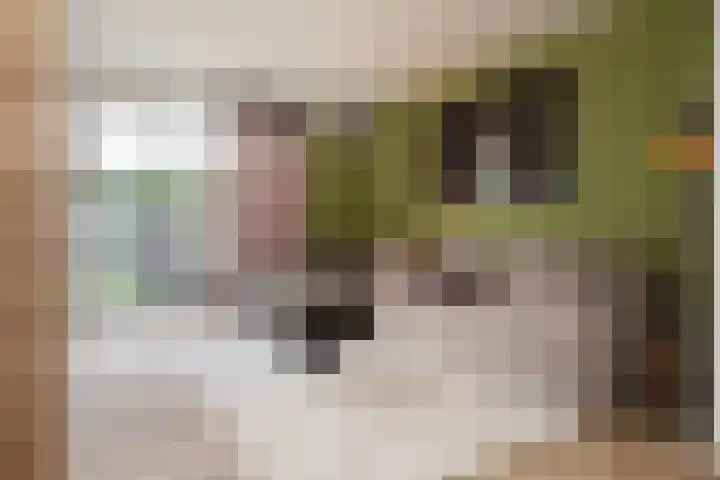 Gerard Knuvelderstraat 14 Waalwijk thumbnail 20