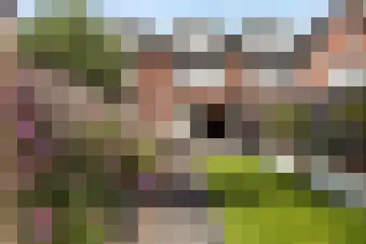 Gerard Knuvelderstraat 14 Waalwijk thumbnail 27