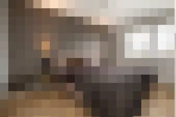 Gerard Knuvelderstraat 14 Waalwijk thumbnail 5