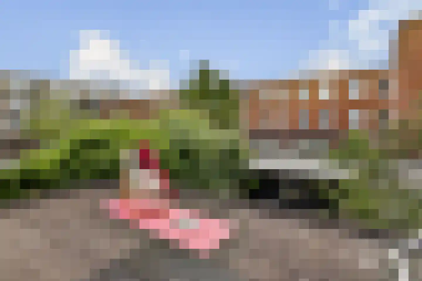 Gerard Leeustraat 19 Gouda thumbnail 28