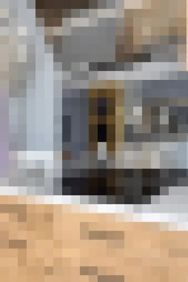 Gerard Leeustraat 9 Gouda thumbnail 8