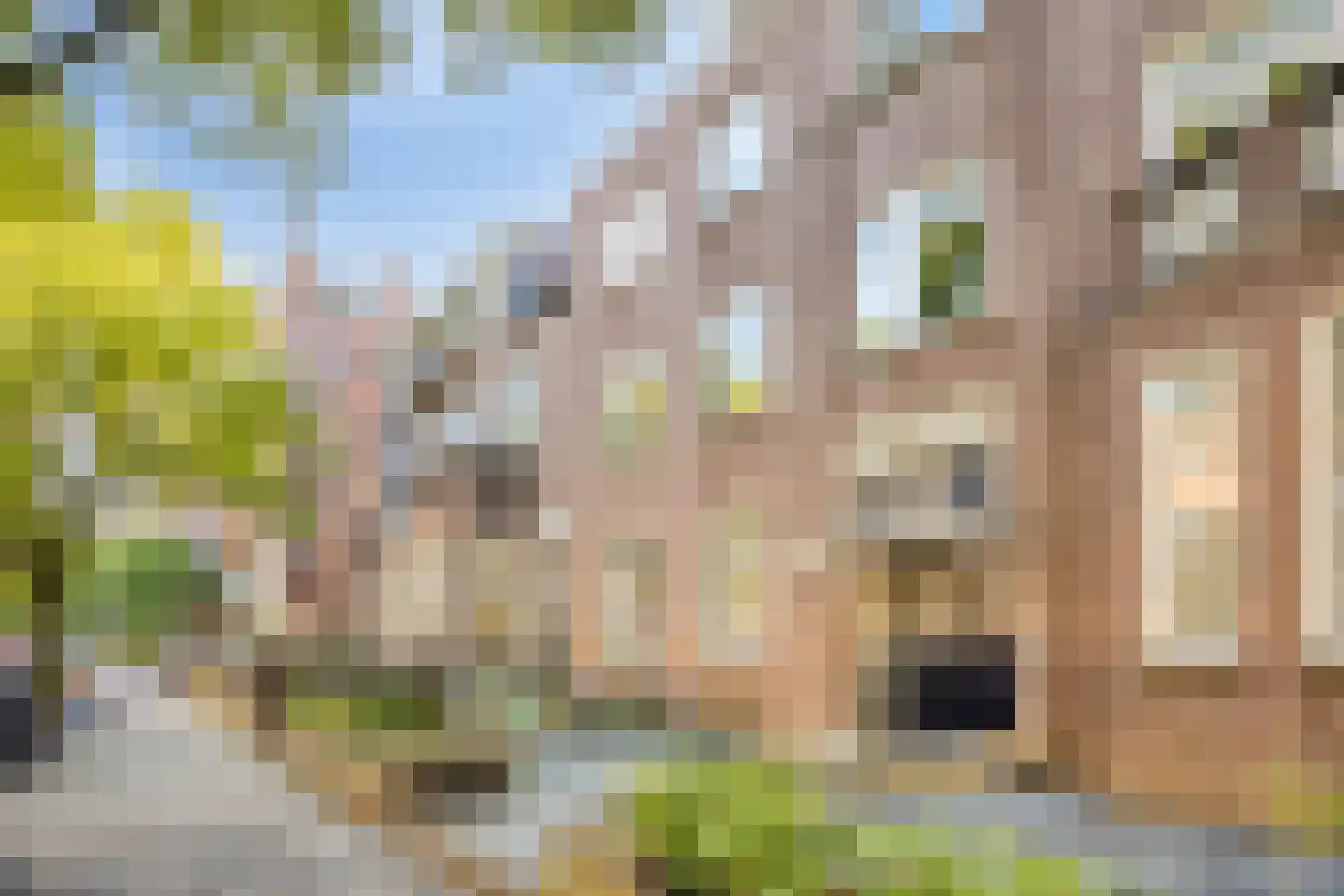 Gerard Noodtstraat 129 A 1 Nijmegen thumbnail 7