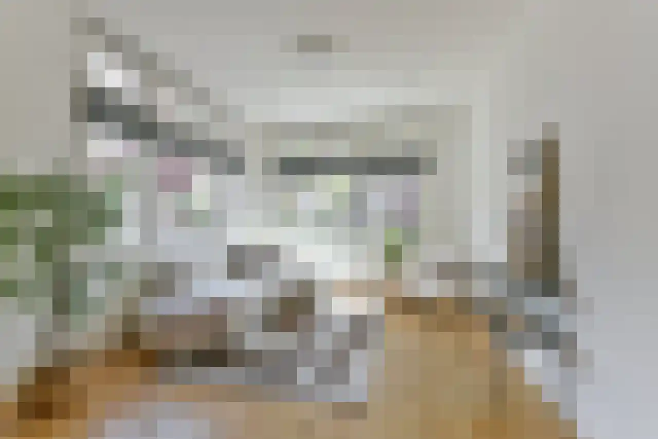 Gerard Noodtstraat 47 Utrecht thumbnail 6