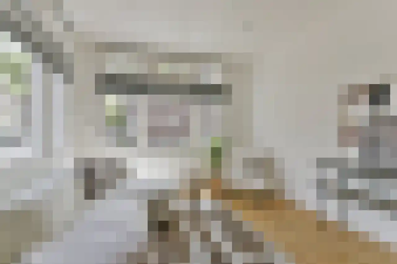 Gerard Noodtstraat 47 Utrecht thumbnail 8