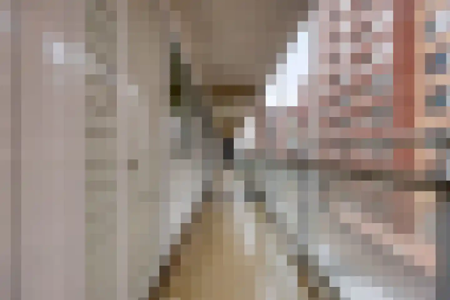 Gerard Philipslaan 19 Eindhoven thumbnail 10