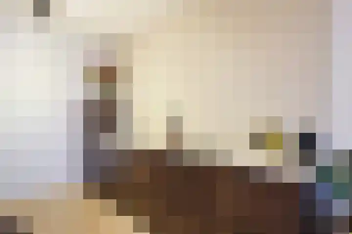 Gerard Philipslaan 216 Eindhoven thumbnail 11