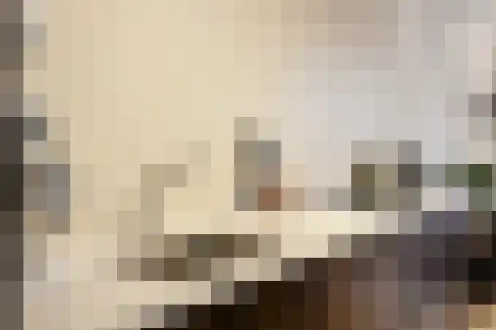 Gerard Philipslaan 216 Eindhoven thumbnail 14
