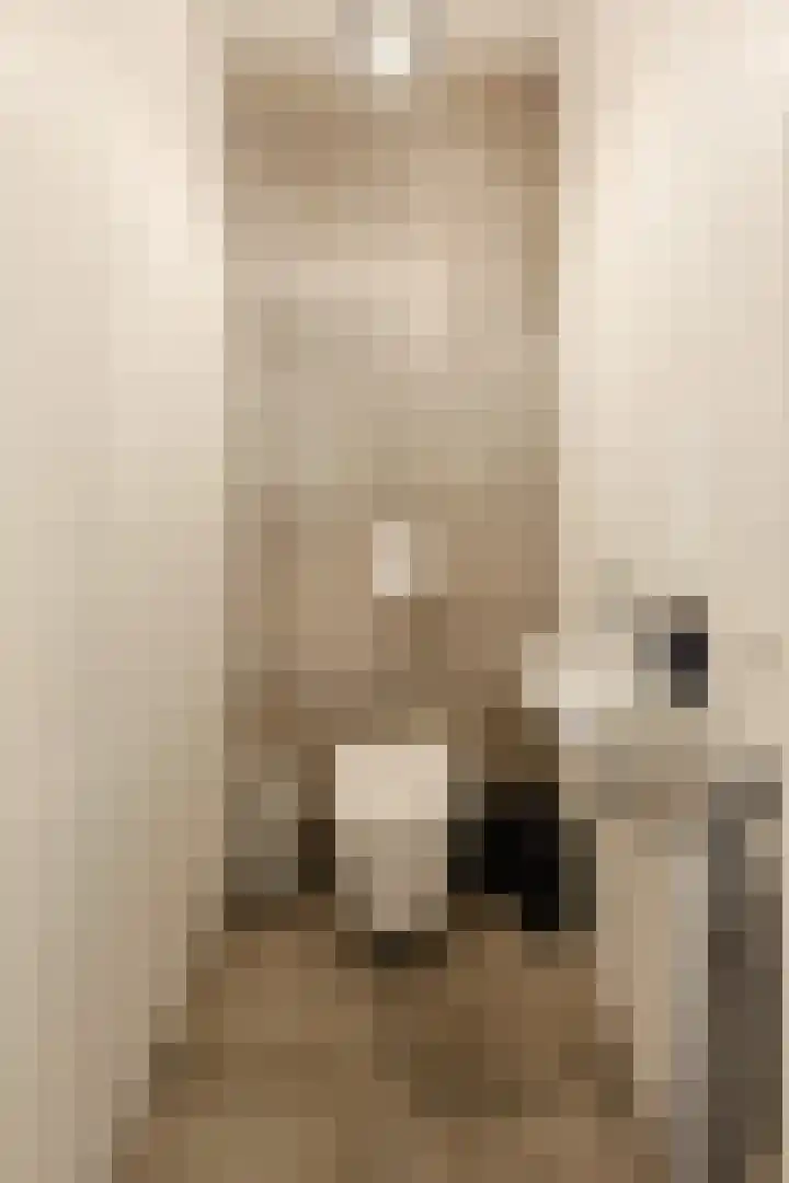 Gerard Philipslaan 216 Eindhoven thumbnail 15