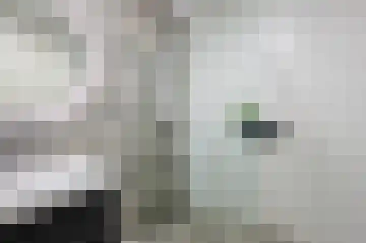 Gerard Philipslaan 216 Eindhoven thumbnail 23