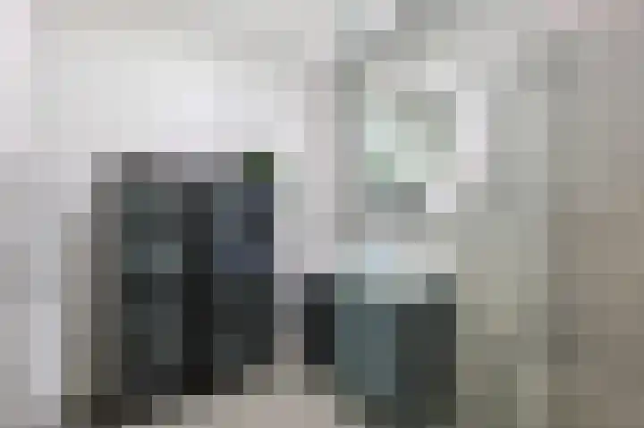 Gerard Philipslaan 216 Eindhoven thumbnail 24