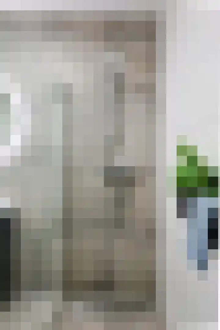 Gerard Philipslaan 216 Eindhoven thumbnail 26