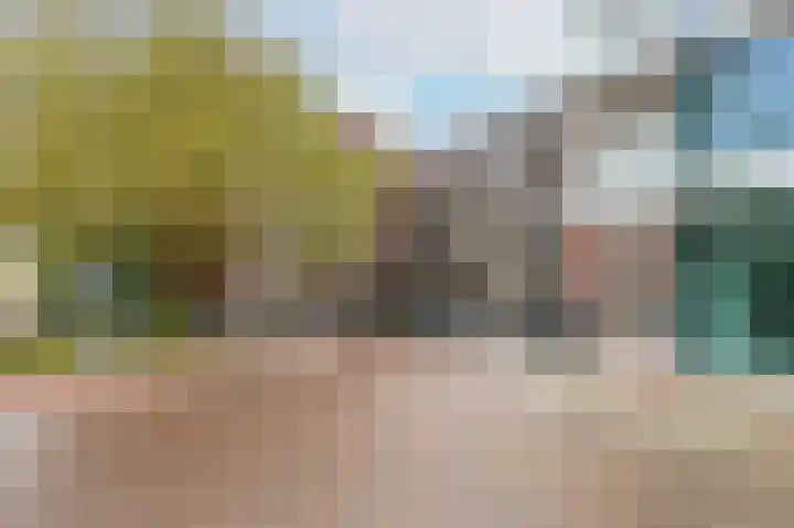 Gerard Philipslaan 216 Eindhoven thumbnail 30