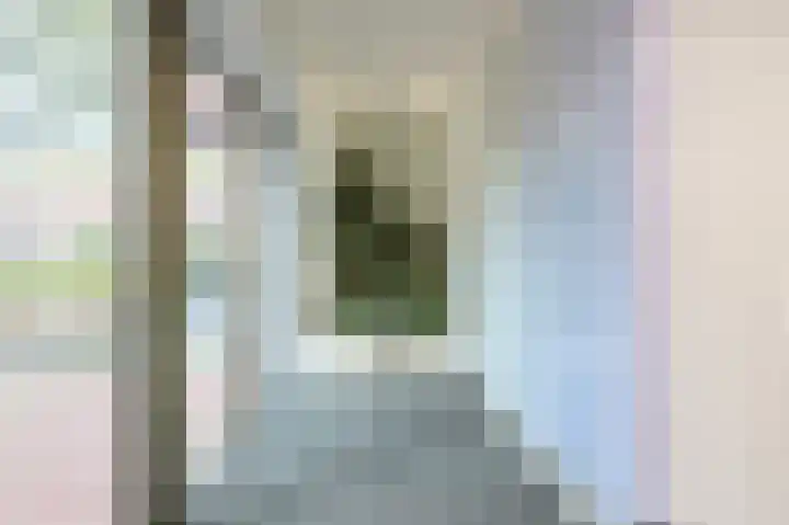Gerard Philipslaan 216 Eindhoven thumbnail 32