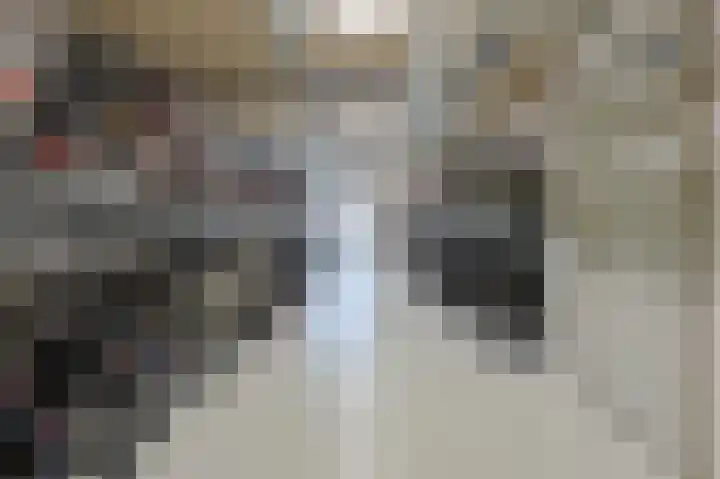 Gerard Philipslaan 216 Eindhoven thumbnail 34