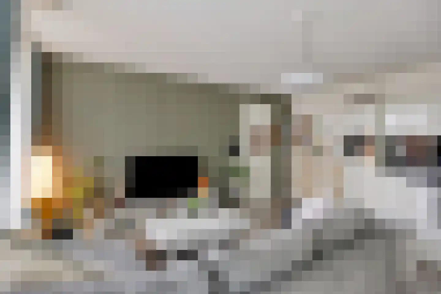 Gerard Philipslaan 31 Eindhoven thumbnail 11