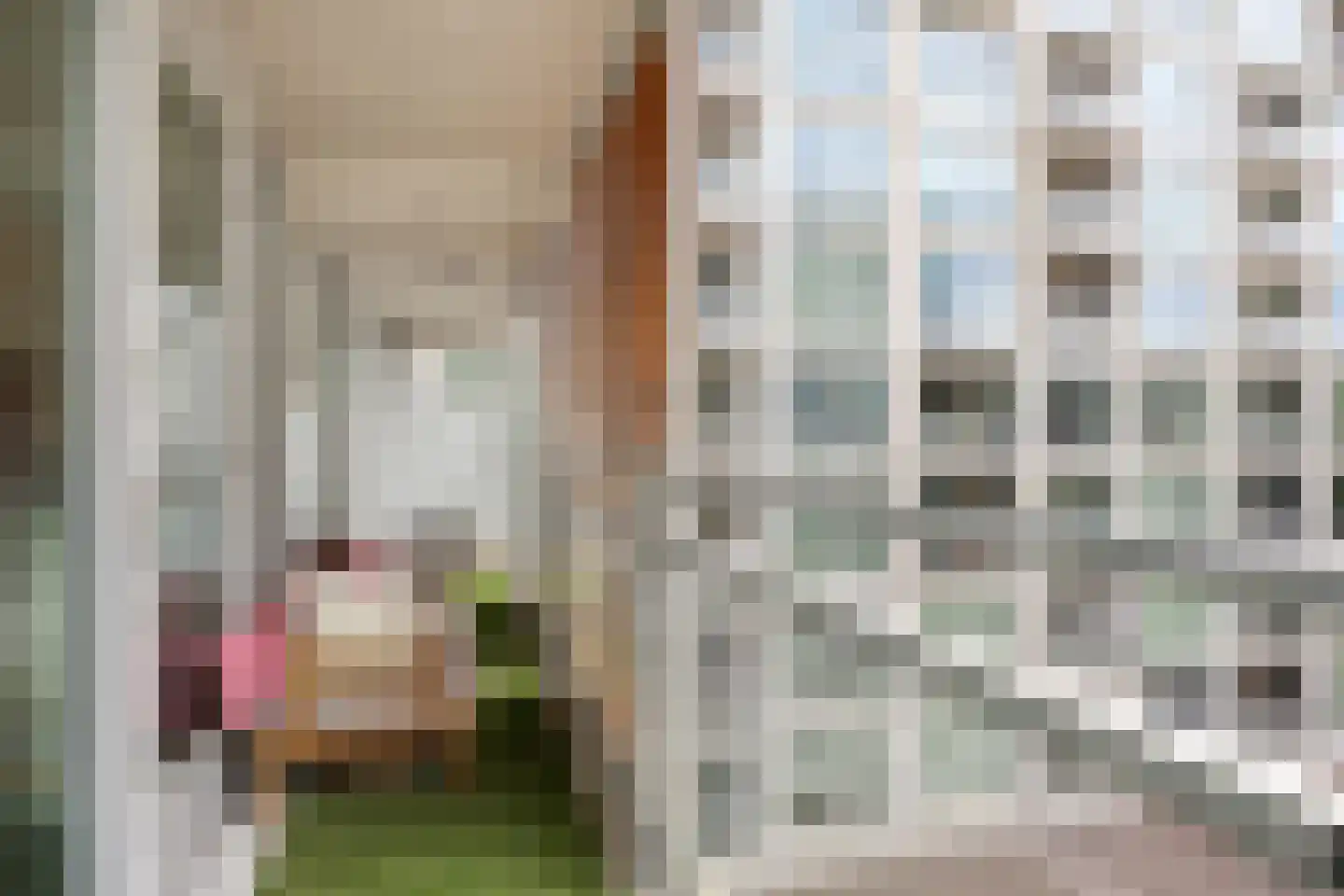 Gerard Philipslaan 31 Eindhoven thumbnail 18