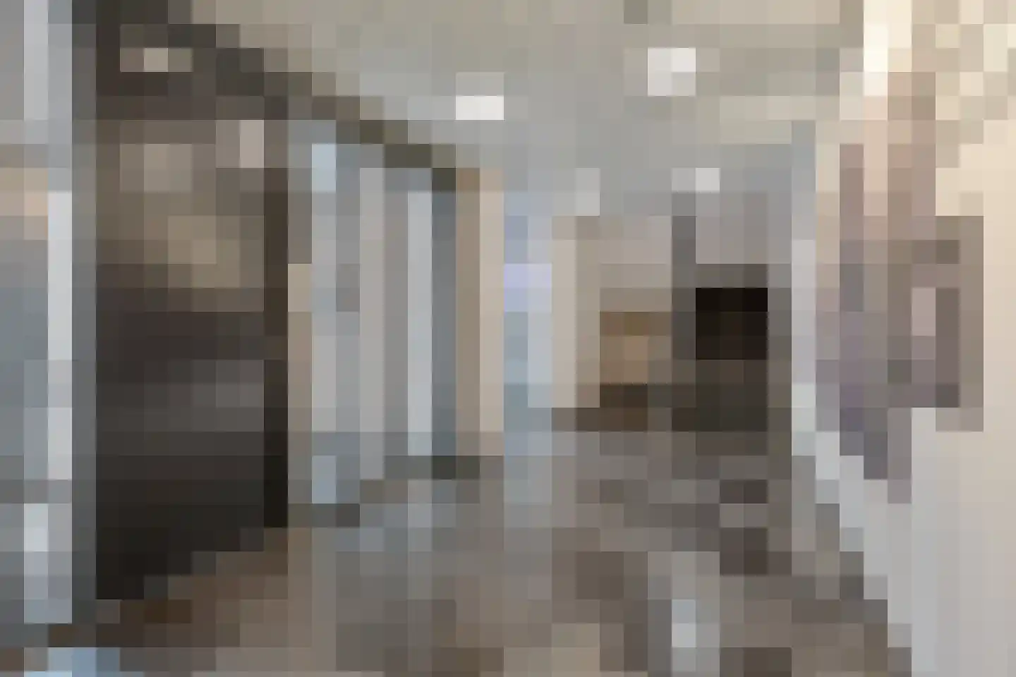 Gerard Philipslaan 31 Eindhoven thumbnail 29