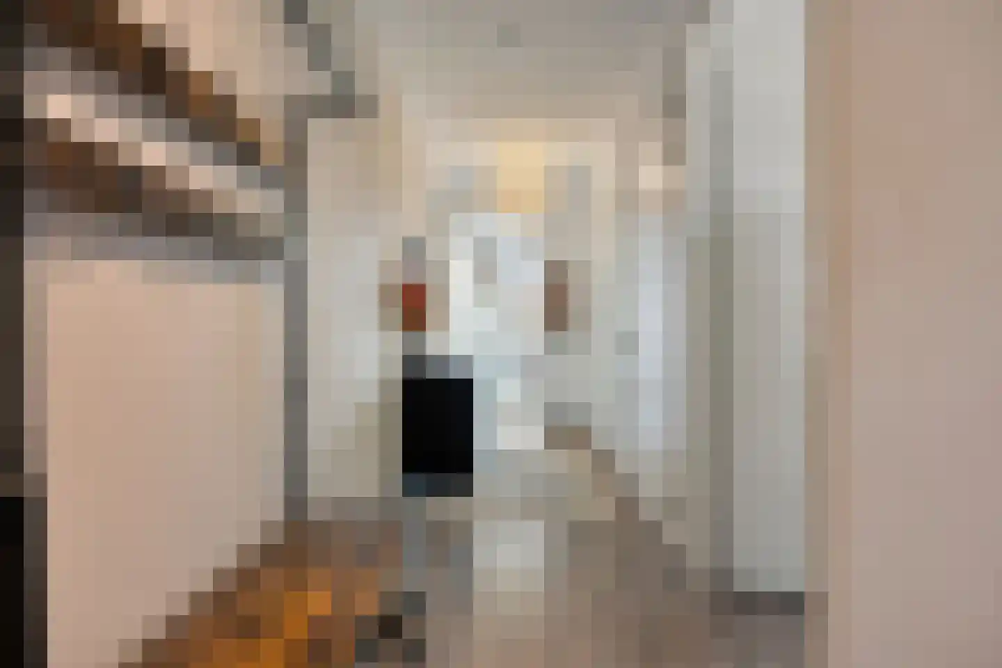 Gerard Philipslaan 31 Eindhoven thumbnail 8