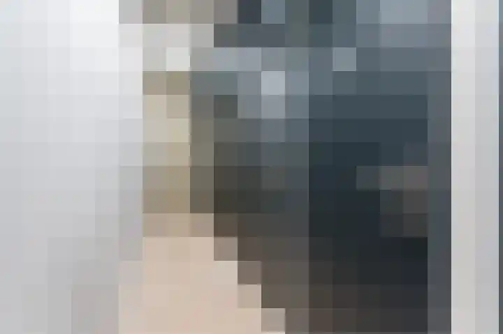 Gerard Philipslaan 37 Eindhoven thumbnail 17