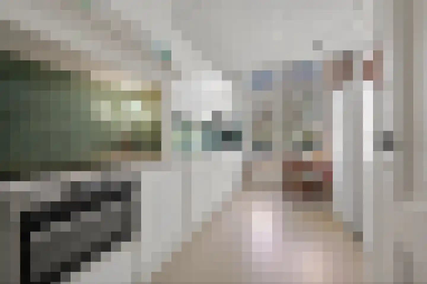Gerard Reijnststraat 12 Den Haag thumbnail 18
