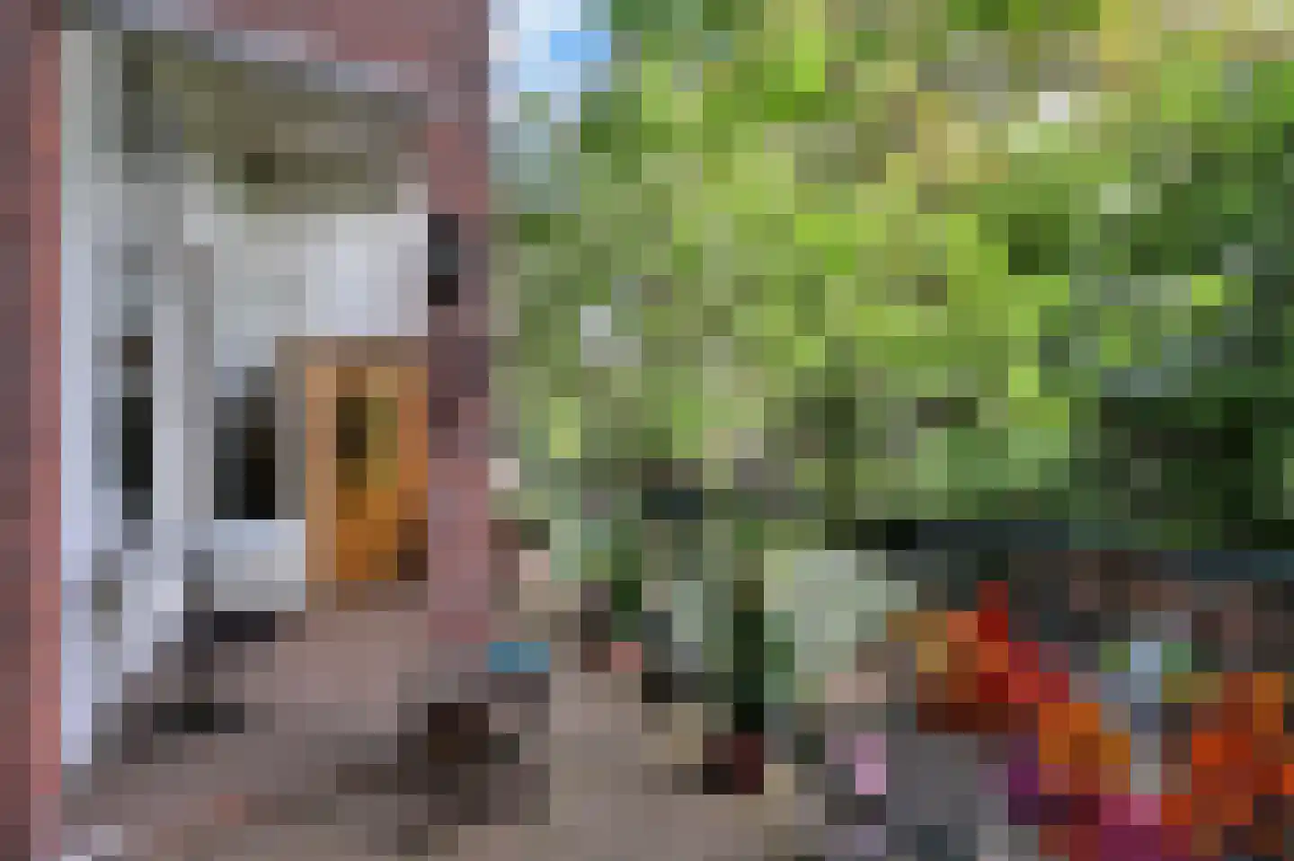 Gerard Reijnststraat 22 Den Haag thumbnail 15