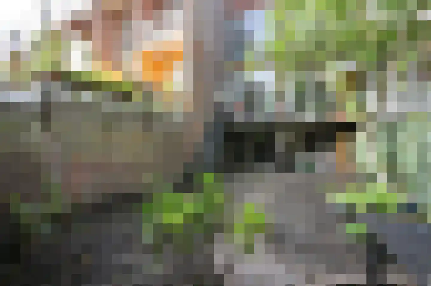 Gerard Reijnststraat 22 Den Haag thumbnail 17