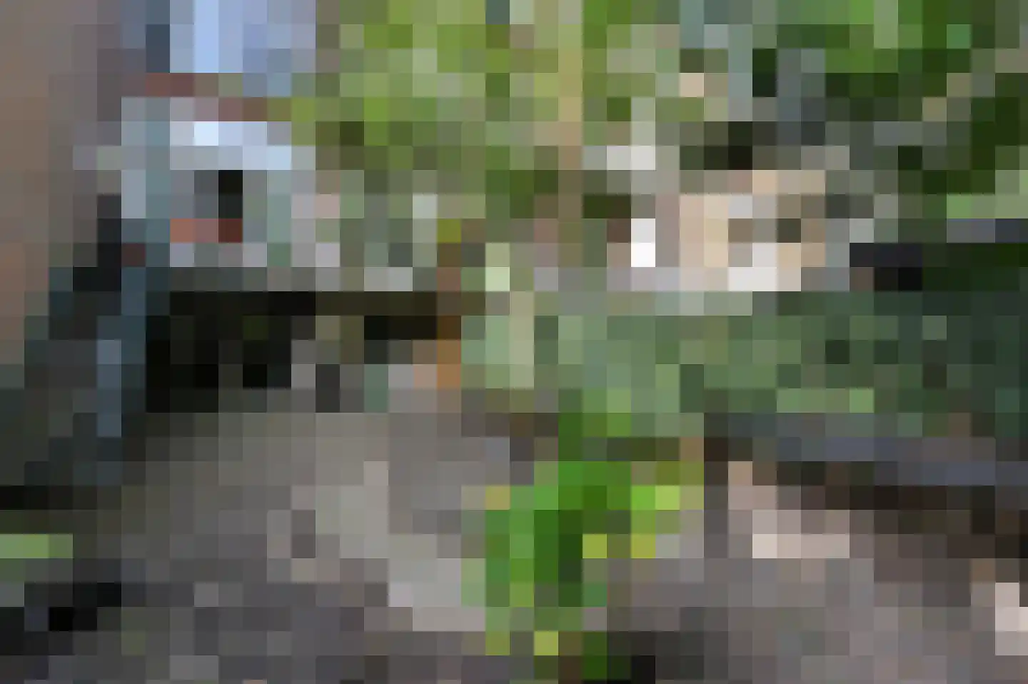 Gerard Reijnststraat 22 Den Haag thumbnail 18