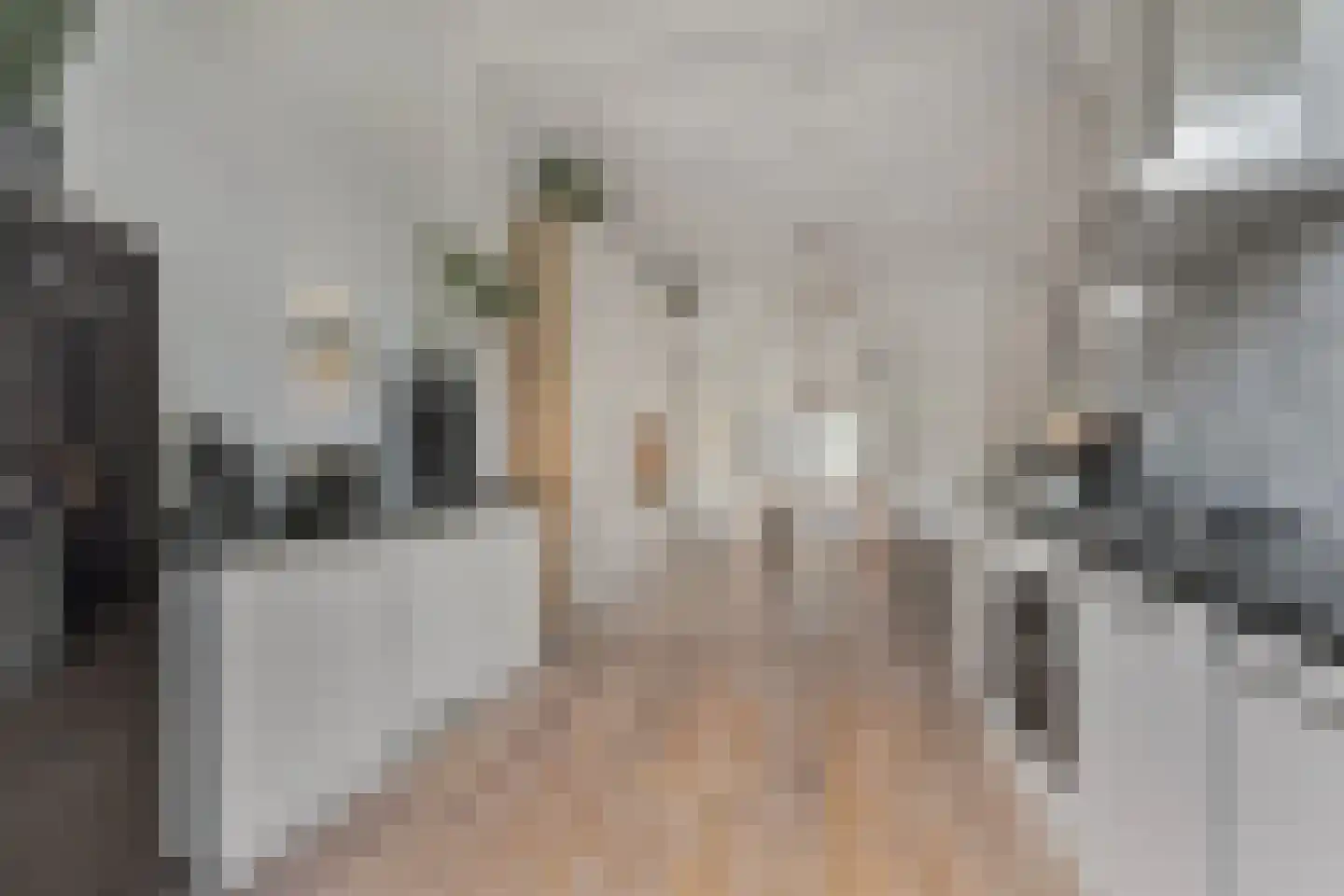 Gerard Reijnststraat 38 Den Haag thumbnail 12