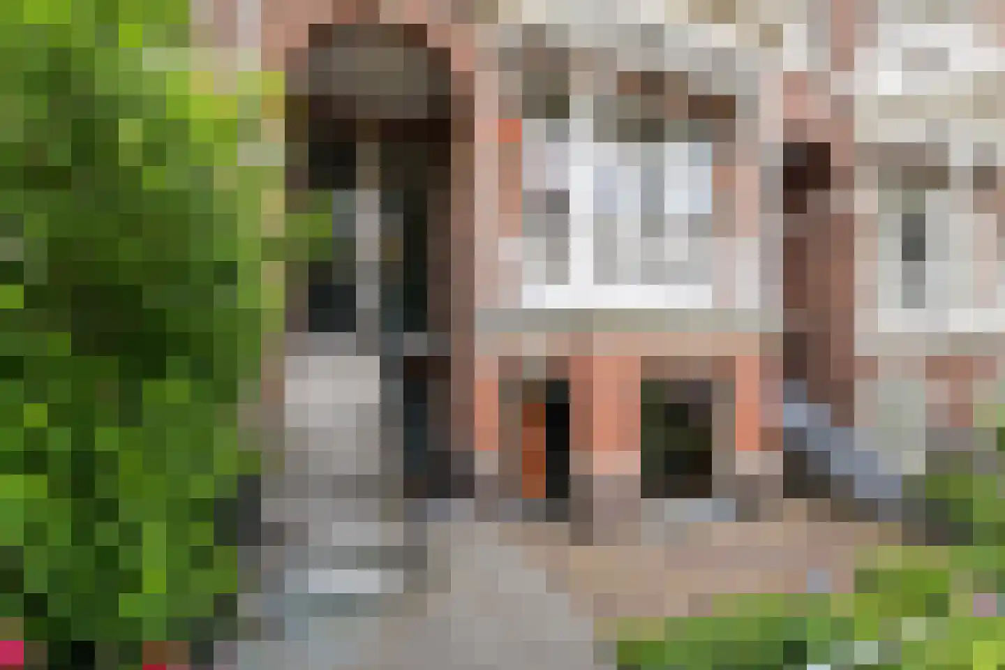 Gerard Reijnststraat 38 Den Haag thumbnail 27