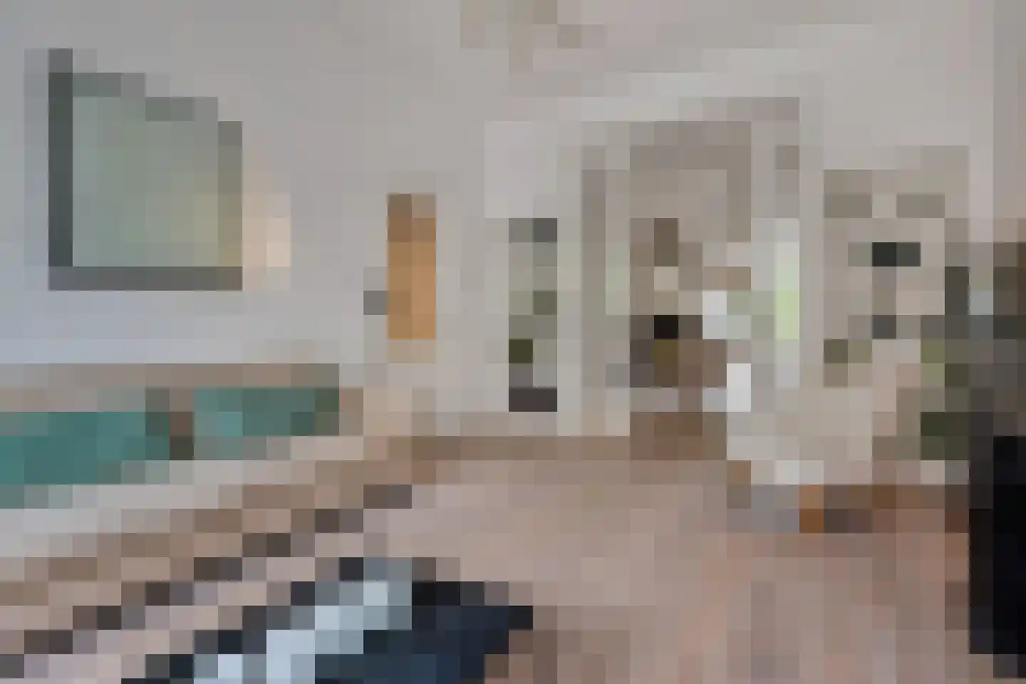 Gerard Reijnststraat 38 Den Haag thumbnail 8