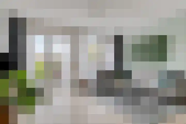 Gerard Revelaan 62 Kloetinge thumbnail 10