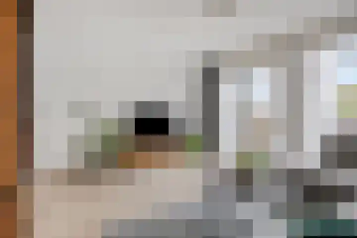 Gerard Revelaan 62 Kloetinge thumbnail 11