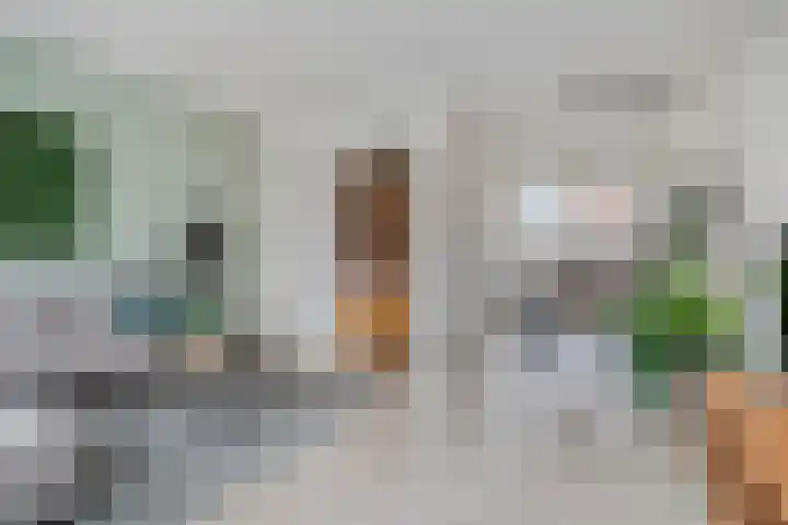 Gerard Revelaan 62 Kloetinge thumbnail 13