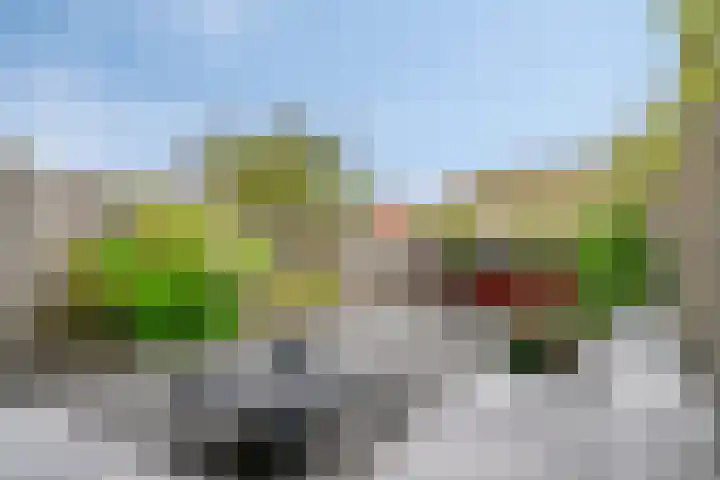 Gerard Revelaan 62 Kloetinge thumbnail 33