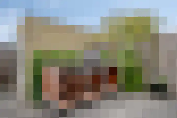 Gerard Revelaan 62 Kloetinge thumbnail 34