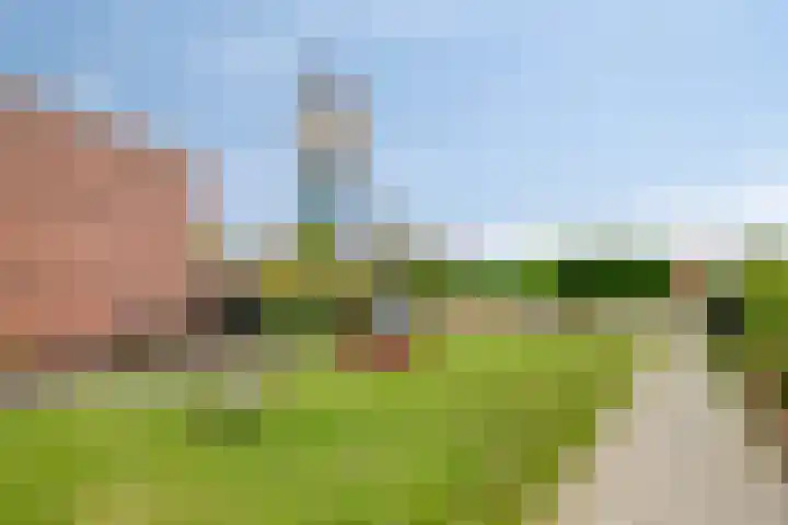 Gerard Revelaan 62 Kloetinge thumbnail 40