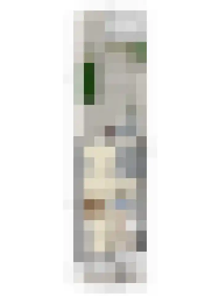 Gerard Revelaan 62 Kloetinge thumbnail 42